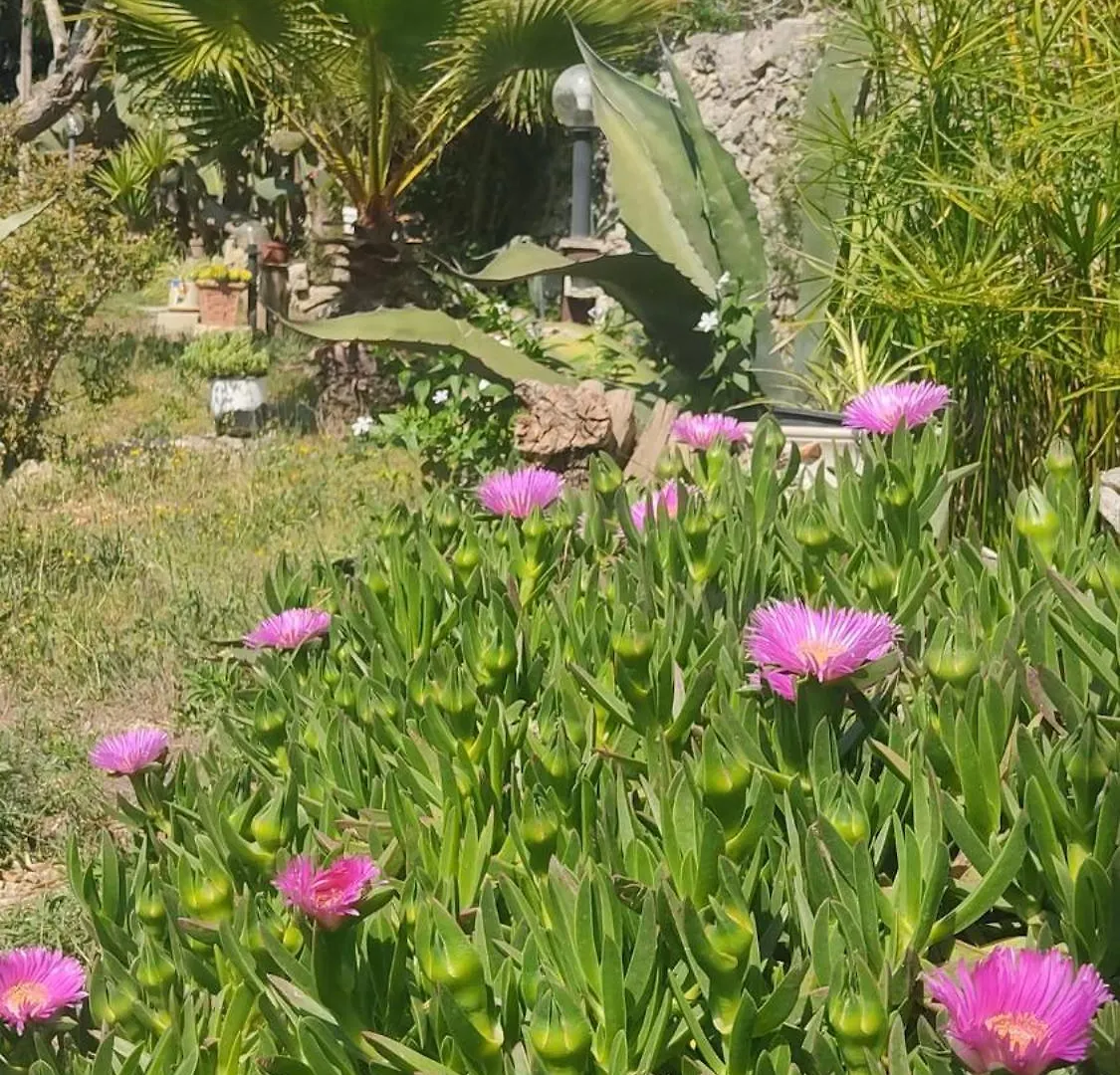 Villa Messapica, casa Veranda San Pietro in Lama